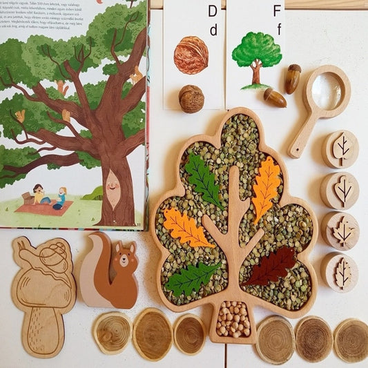 Montessori Sensory Tray Shapes