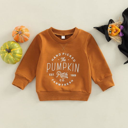 Pumpkin Patch Pullover