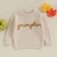 Pumpkin Knitted Sweater