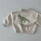 Gender Neutral Dino Pullover