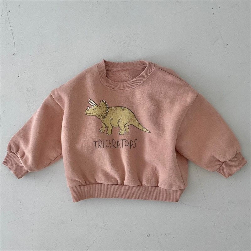 Gender Neutral Dino Pullover