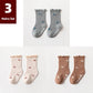 3 Pair Spring Sock Set