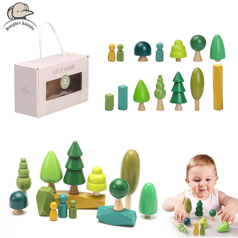 Wooden Nature Sets